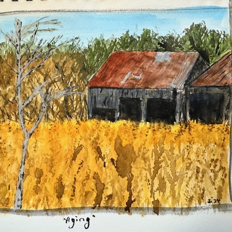 Aging

Like all things that age,  it becomes more interesting for art

Watercolour on cold press paper
8 x 12